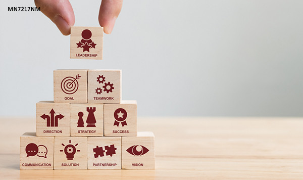 Transformational Leadership for Modern Business (MN7217NM)  - Autumn - 2026